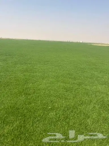 ثيل طبيعي c2000 4