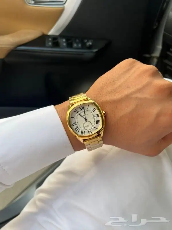 مجموعة من ساعات باتك فلب سانتوس 41