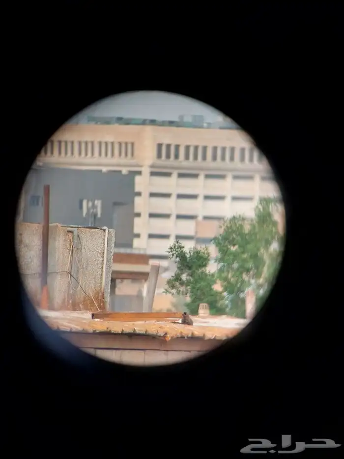 للبيع دربيل روسي عين واحده 12