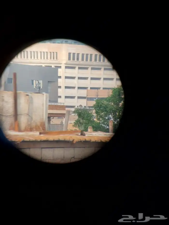 للبيع دربيل روسي عين واحده 13