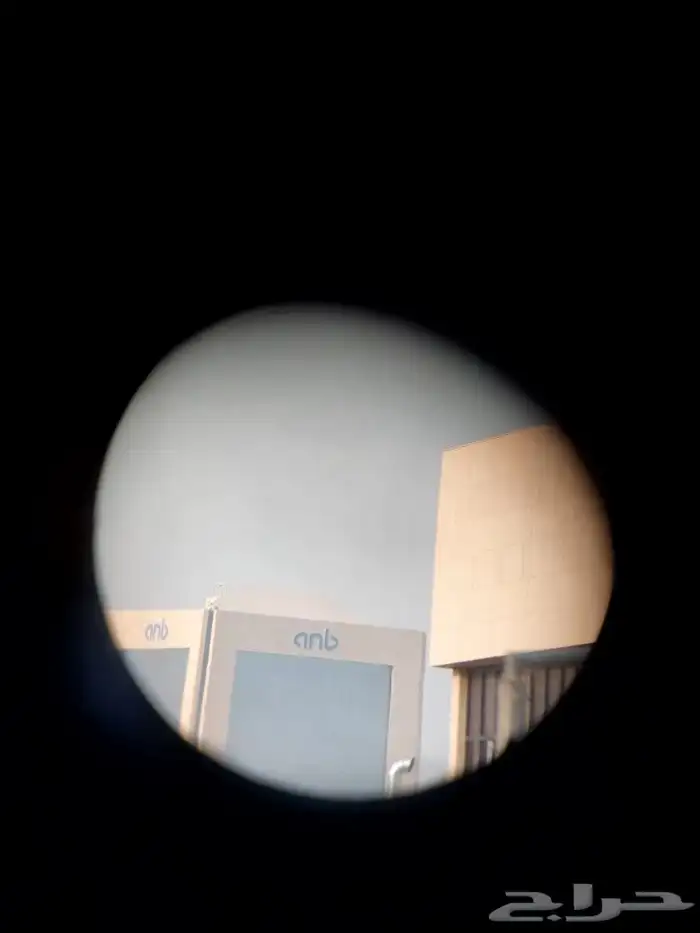 للبيع دربيل روسي عين واحده 11