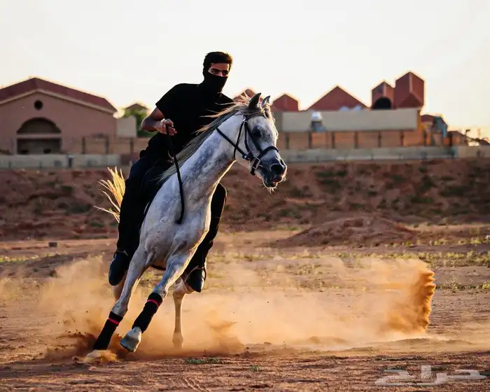 مصور احترافي تصوير المنتجات والمعالجة للصور وتنسيقها 15