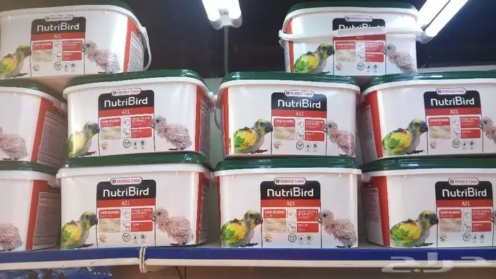 تم وصول سيريلاك فرسلاقا A21 تاريخ حديث 0