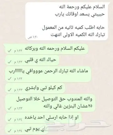 معمول فلسطيني 17