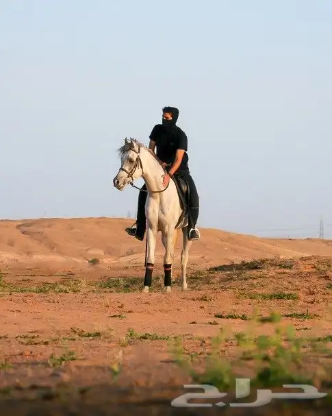 مصور احترافي تصوير المنتجات والمعالجة للصور وتنسيقها 16