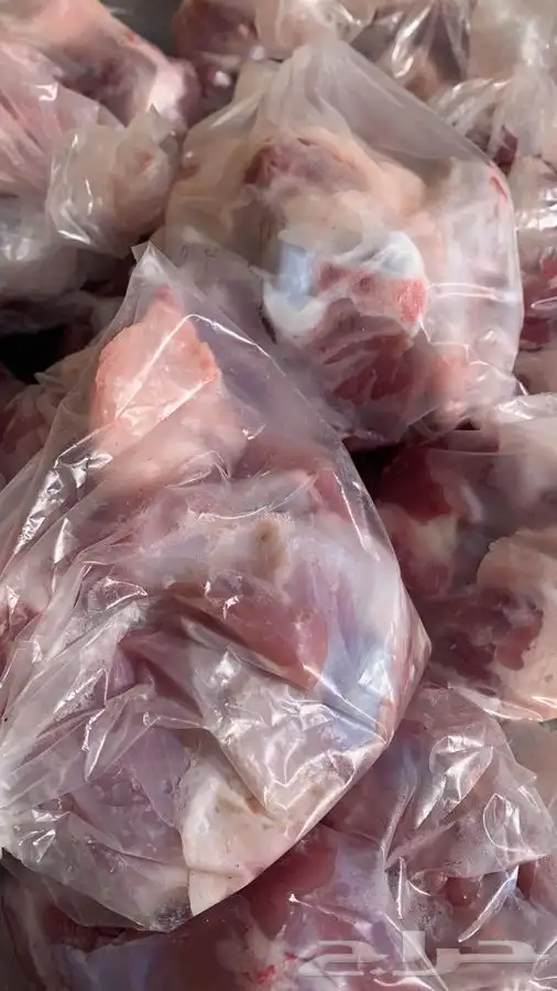 ذبايح ابو مشعل 2