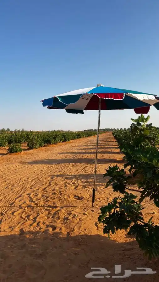 يتوفر ايواء خيل بمزرعة دان في أشيقر 5