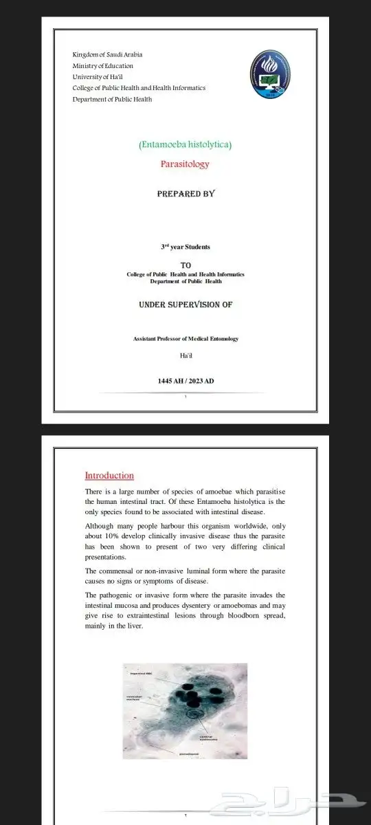 بحوث وعروض مميزة 1