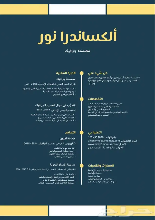 تصميم cv احترافي - سيره ذاتيه تنفيذ فوري 11