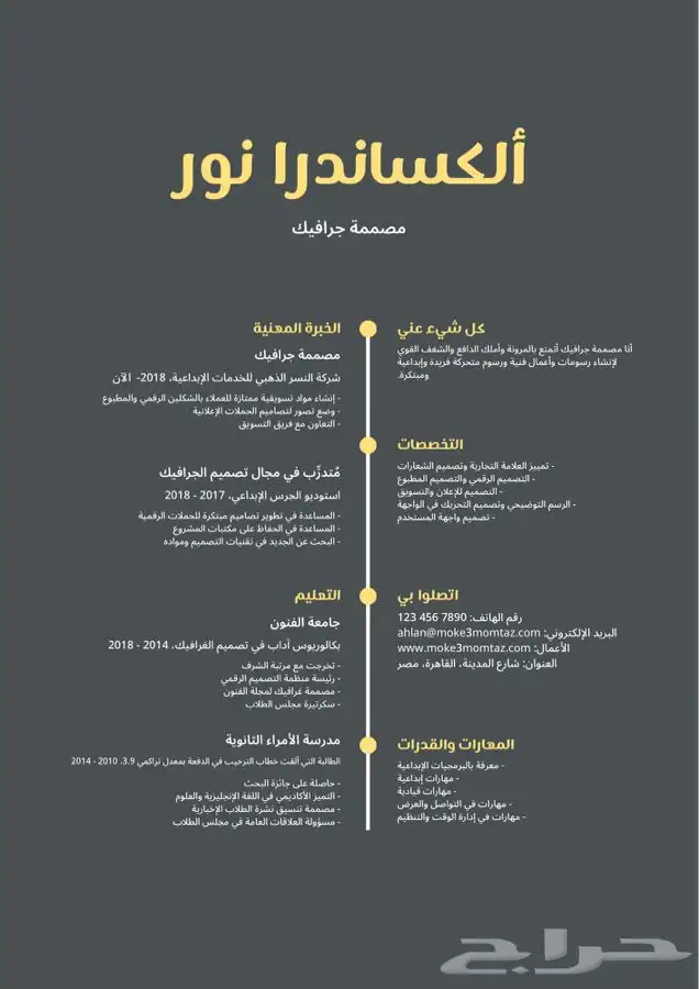 تصميم cv احترافي - سيره ذاتيه تنفيذ فوري 17