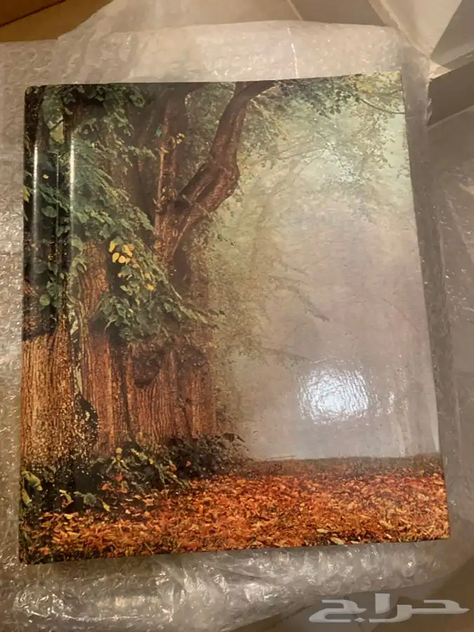 متفرقات (تحف  الكترونيات  انتيك  ساعات  صور  نوادر) 18