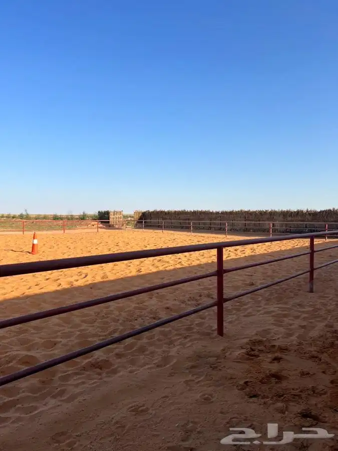 يتوفر ايواء خيل بمزرعة دان في أشيقر 3