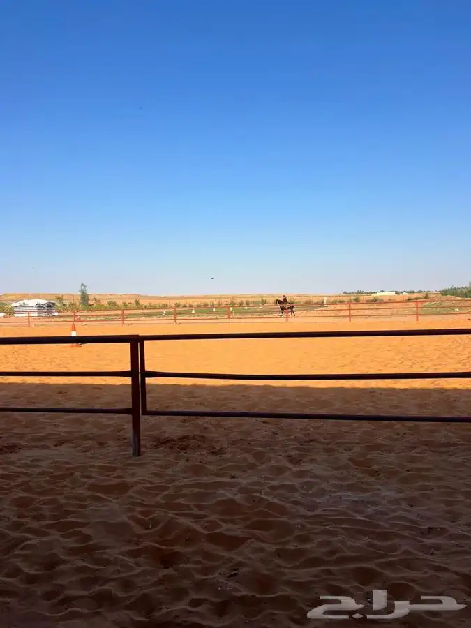 يتوفر ايواء خيل بمزرعة دان في أشيقر 1