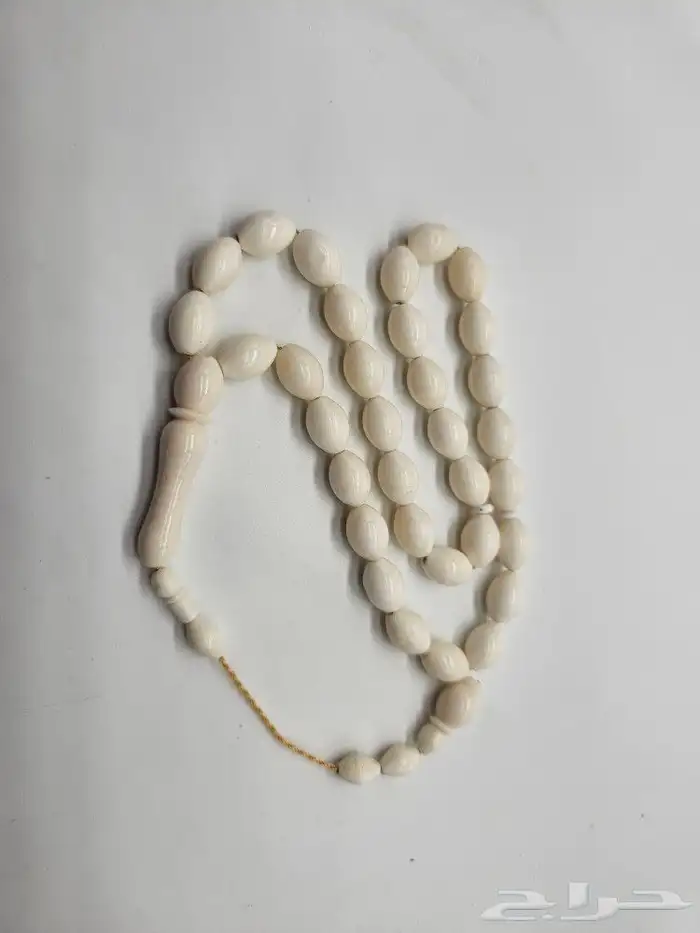 سبح عظم ساده نظيف 1