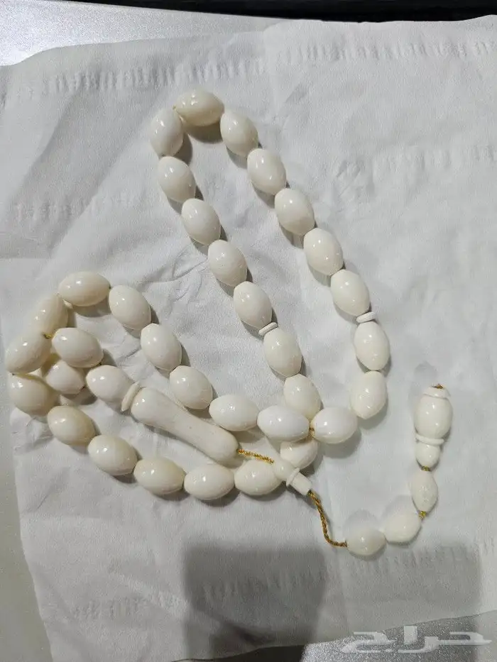 سبح عظم ساده نظيف 3