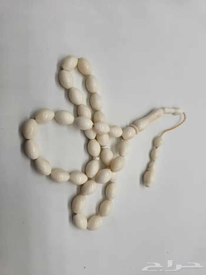 سبح عظم ساده نظيف 0