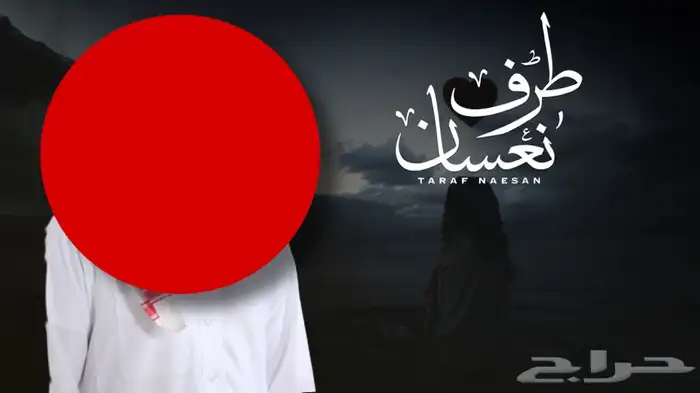 موشن جرافيك ( فيديو اعلاني 0