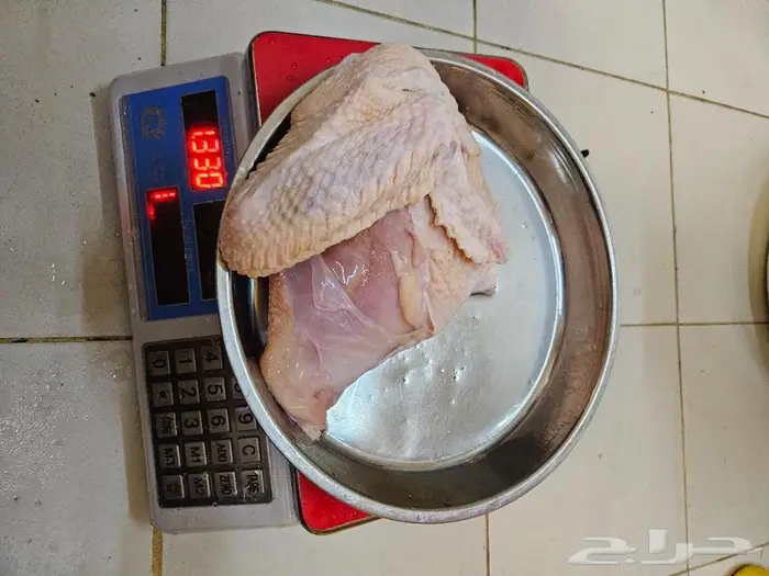 ديك رومي ذبح من 5 الى 7 كيلو 3
