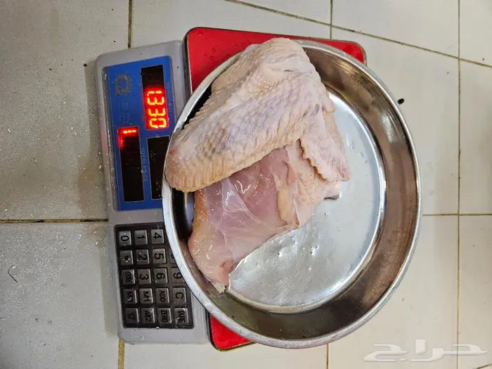 ديك رومي ذبح من 5 الى 7 كيلو 4