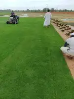 تيل طبيعي 0