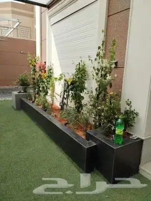 تيل طبيعي 2