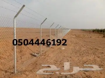 شبوك مزارع الطائف 7