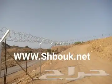 شبوك مزارع الطائف 1