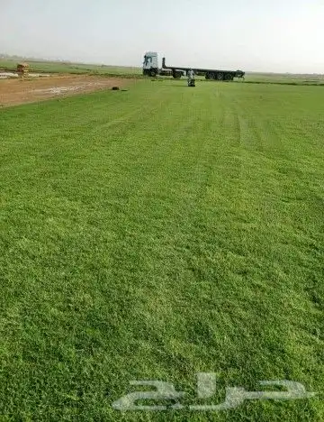 تيل طبيعي 4