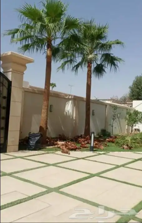 ابوساري لتوريد النخيل وزراعته 7