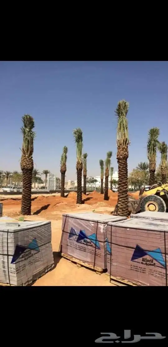 ابوساري لتوريد النخيل وزراعته 1