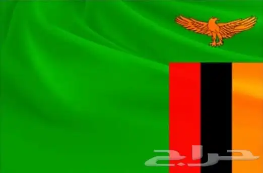 زمرد Zambian طبيعي 3