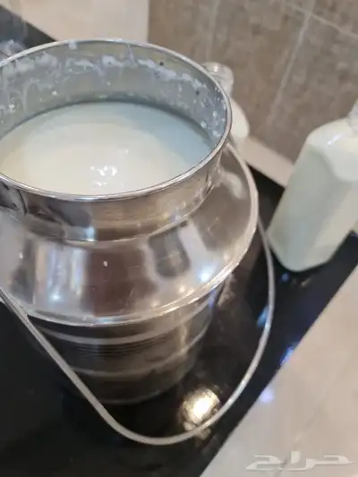 زبدة ماعز طبيعيه الكميه محدوده 1