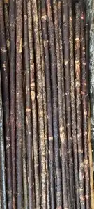 عصي مزمار مسقيه وجاهزه 6