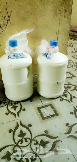 سمن غنم وروب غنم. دهنت غنم 4