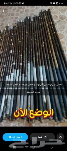عصي مزمار مسقيه وجاهزه 17