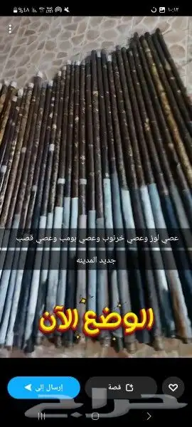 عصي مزمار مسقيه وجاهزه 0