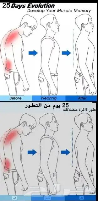 حزام شد الظهر حزام كامل الظهر حزام الكتفين أعلى الظهر 14