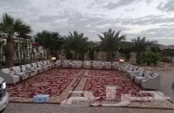 تاجير جلسات شعبية 6