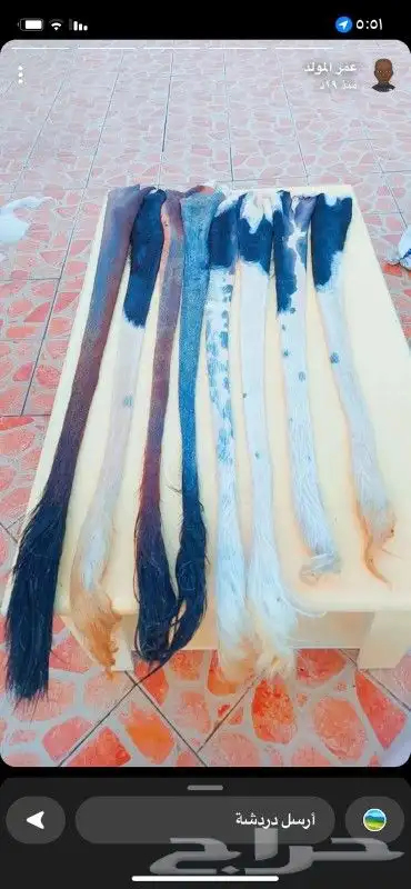 عصي مزمار مسقيه وجاهزه 20