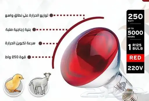 دفايات لمبة سيراميك لمبة باشعة حمراء 6