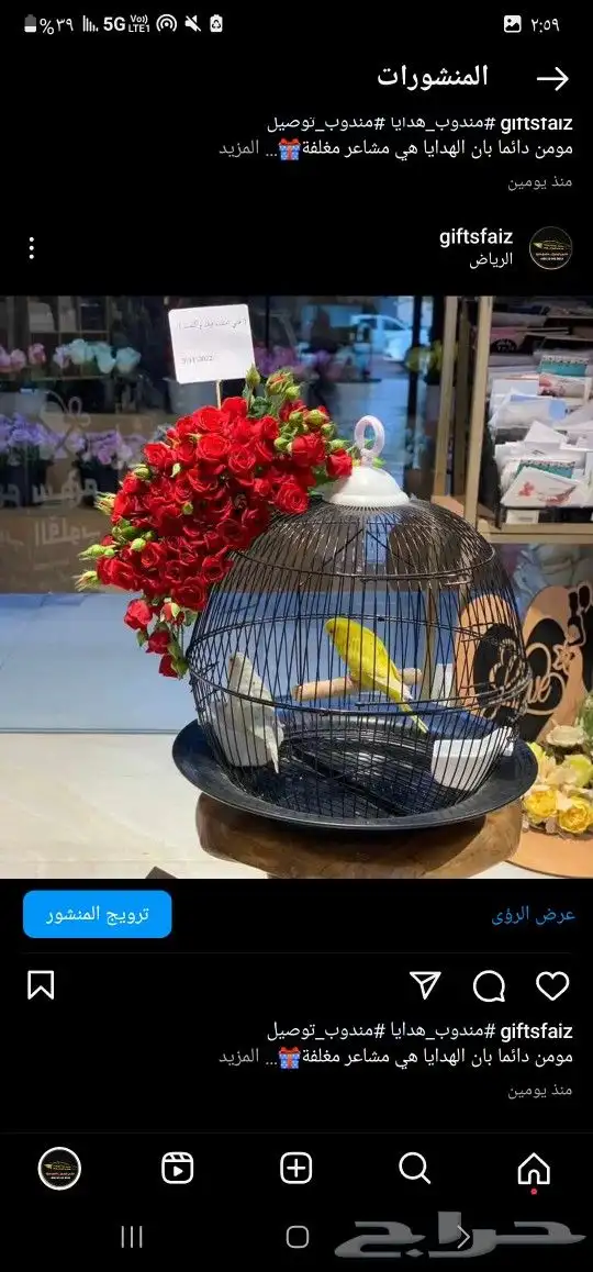 باقات ورد  هدايا  باتشي  حلا توصيل الرياض شبكات عرائس هدايا 9