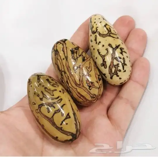 ثمرة عود الصليب 0