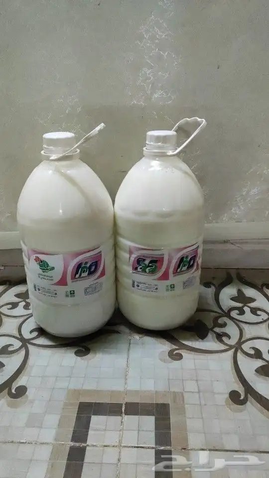 سمن غنم وروب غنم. دهنت غنم 6