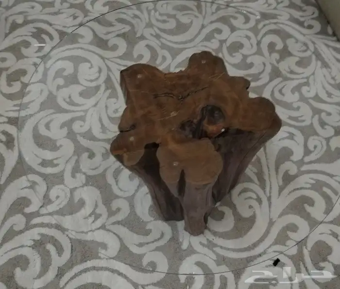 طاولة جذع كامل ع زجاج  طاوله جذوع شجرمدموجه للبيع 0