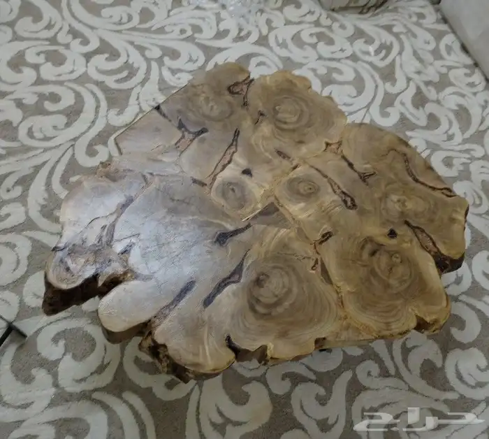 طاولة جذع كامل ع زجاج  طاوله جذوع شجرمدموجه للبيع 5