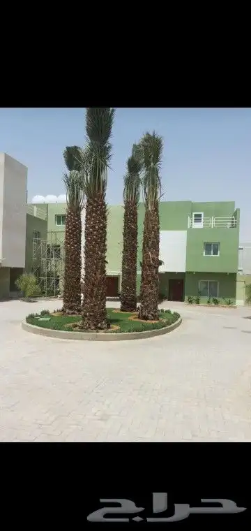 جميع انواع انخيل عربي واشنطني 8