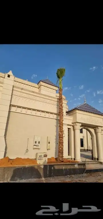 جميع انواع انخيل عربي واشنطني 7