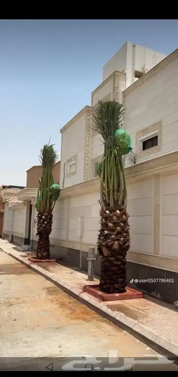 جميع انواع انخيل عربي واشنطني 5