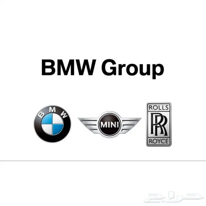 فحص وبرمجة اونلاين وصيانة لسيارات بي ام وميني BMW 0