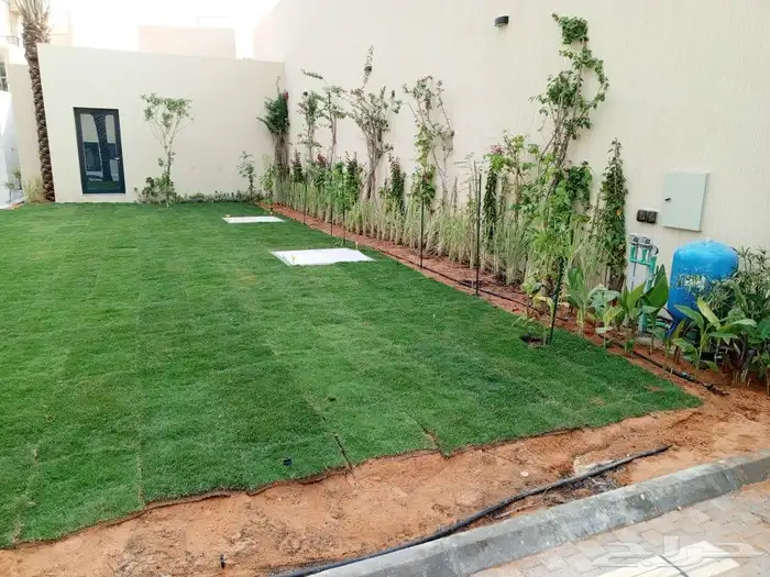 زراعه الاشجار والثيل والنخيل والزيتون. وشبكات الري 0